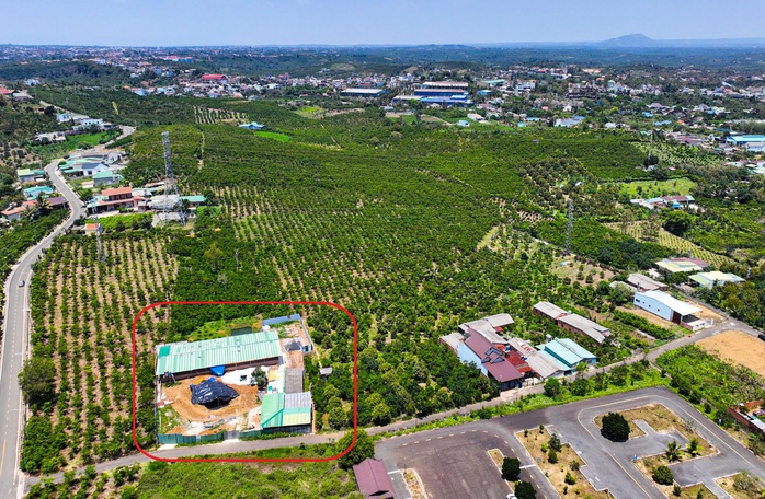 Người dân Bảo Lộc kêu trời vì trại heo bốc mùi kinh khủng trong khu dân cư- Ảnh 1. Người dân Bảo Lộc kêu trời vì trại heo bốc mùi kinh khủng trong khu dân cư- Ảnh 1.