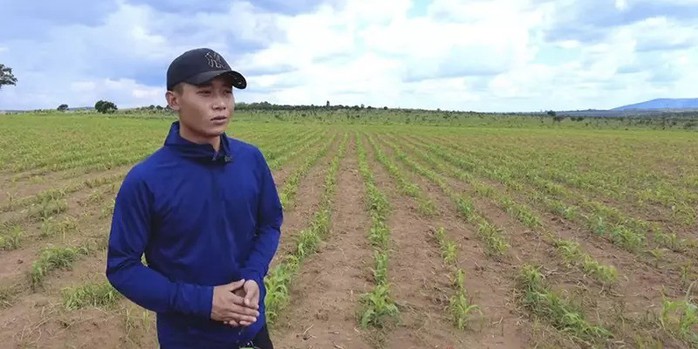 Quang Linh Vlogs tham gia vào những doanh nghiệp nào trước khi hào quang vụt tắt?- Ảnh 3. Quang Linh Vlogs tham gia vào những doanh nghiệp nào trước khi hào quang vụt tắt?- Ảnh 3.