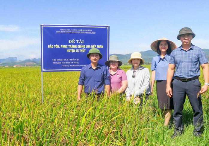 Hồi sinh "hạt ngọc đen" vùng cao- Ảnh 1. Hồi sinh "hạt ngọc đen" vùng cao- Ảnh 1.