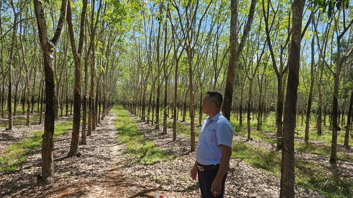 Ông Phạm Minh Sơn (ngụ thị xã Chơn Thành, tỉnh Bình Phước) bên đất của gia đình đã bàn giao cho địa phương làm dự án đường cao tốc TP HCM - Thủ Dầu Một - Chơn Thành Ông Phạm Minh Sơn (ngụ thị xã Chơn Thành, tỉnh Bình Phước) bên đất của gia đình đã bàn giao cho địa phương làm dự án đường cao tốc TP HCM - Thủ Dầu Một - Chơn Thành