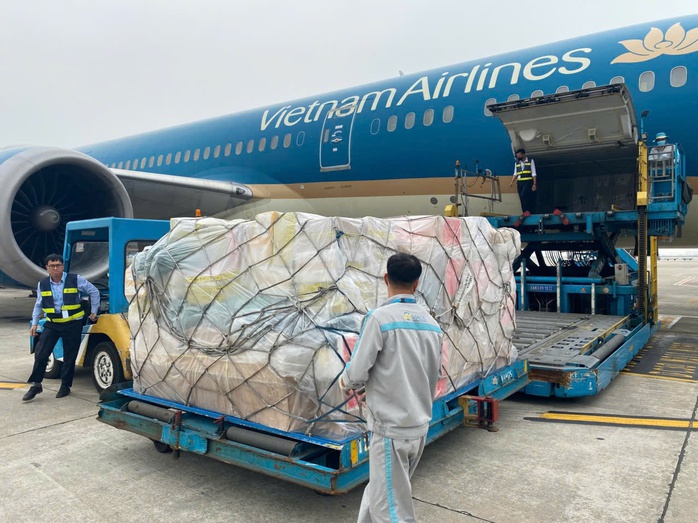 Động đất Myanmar: Chiều tối nay, đoàn cứu hộ Việt Nam về nước- Ảnh 1. Động đất Myanmar: Chiều tối nay, đoàn cứu hộ Việt Nam về nước- Ảnh 1.