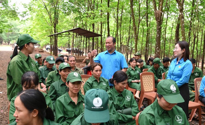Công đoàn cao su đồng hành với người lao động bị ảnh hưởng khi tinh giản bộ máy- Ảnh 1. Công đoàn cao su đồng hành với người lao động bị ảnh hưởng khi tinh giản bộ máy- Ảnh 1.