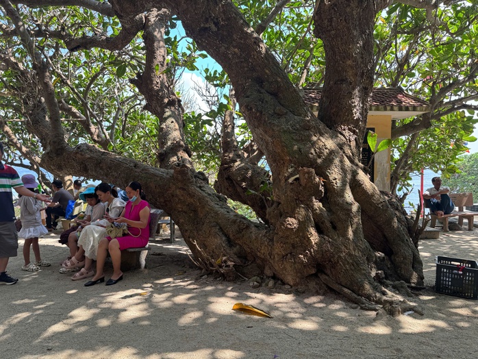 Chiêm bái ngôi chùa không sư trong hang đá triệu năm ở Lý Sơn- Ảnh 10. Chiêm bái ngôi chùa không sư trong hang đá triệu năm ở Lý Sơn- Ảnh 10.