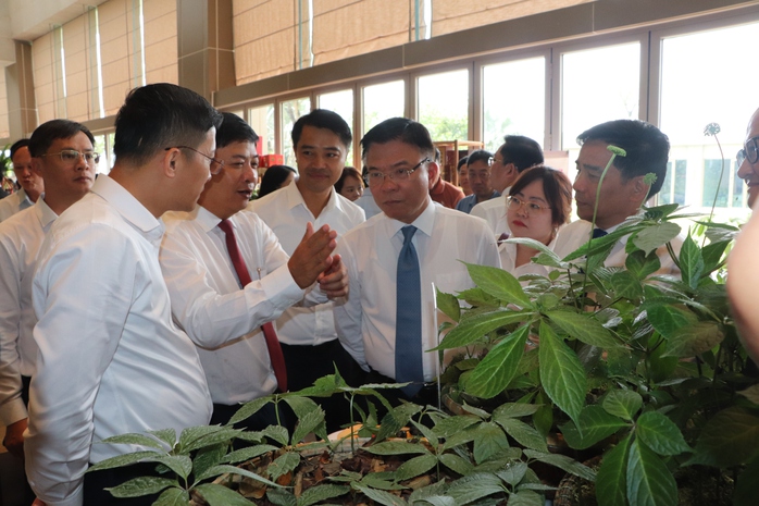 Phó Thủ tướng: Chung sức làm lớn, nhìn xa để đưa ngành dược liệu vươn tầm- Ảnh 1. Phó Thủ tướng: Chung sức làm lớn, nhìn xa để đưa ngành dược liệu vươn tầm- Ảnh 1.