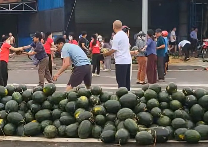 VIDEO: Người dân xếp hàng thu gom, “giải cứu” dưa hấu khi xe tải gặp nạn- Ảnh 2. VIDEO: Người dân xếp hàng thu gom, “giải cứu” dưa hấu khi xe tải gặp nạn- Ảnh 2.