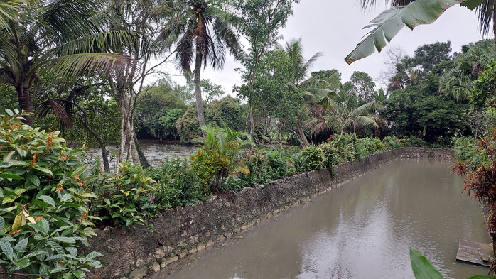 Theo thơ t&igrave;m về b&oacute;ng d&aacute;ng thảo d&acirc;n Vườn B&ugrave;i - Ảnh 2.