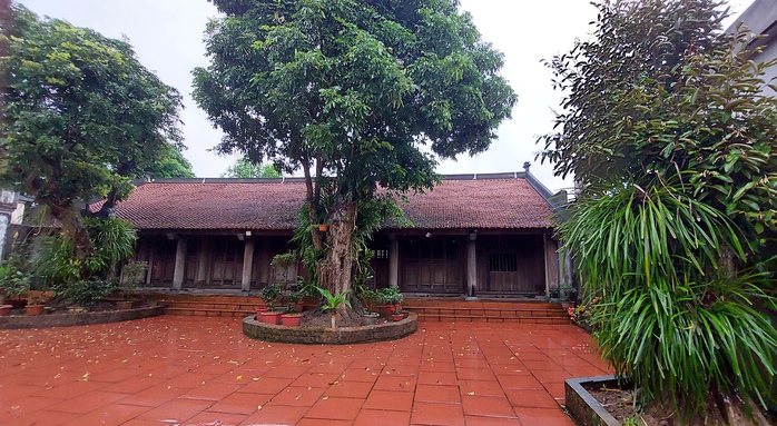 Theo thơ t&igrave;m về b&oacute;ng d&aacute;ng thảo d&acirc;n Vườn B&ugrave;i - Ảnh 4.