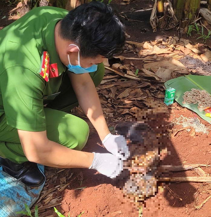 Phát hiện thi thể trẻ sơ bọc trong túi đen vứt ở vườn chuối - Ảnh 2.