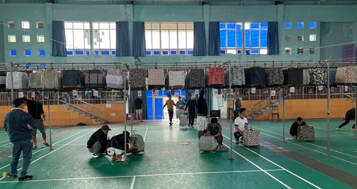 Huế: Đưa chim đi uống cà phê phải có hồ sơ - Ảnh 1.