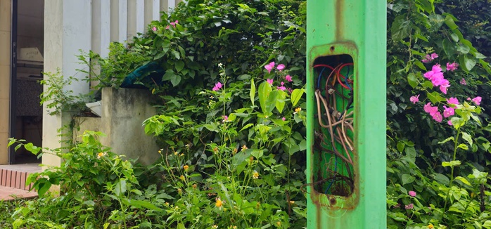 Cận cảnh khu đô thị hơn 1.400 tỉ đồng quá hạn tiến độ 6 năm vẫn chưa hoàn thành - Ảnh 19.