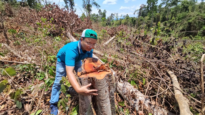 Hàng chục ha rừng ngay trụ sở UBND huyện bị phá nát- Ảnh 4.