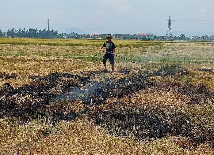 Đốt rơm rạ, một nông dân nhận cái kết "đắng" vì bỏ chạy- Ảnh 1. Đốt rơm rạ, một nông dân nhận cái kết "đắng" vì bỏ chạy- Ảnh 1.