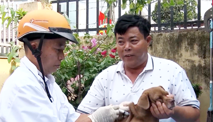 Bé trai 2 tuổi ở Đồng Nai bị chó nghi dại cắn vào đầu - Ảnh 1.