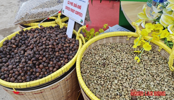 Giá cà phê hôm nay 17-5: Giảm mạnh tới 3 con số- Ảnh 1. Giá cà phê hôm nay 17-5: Giảm mạnh tới 3 con số- Ảnh 1.