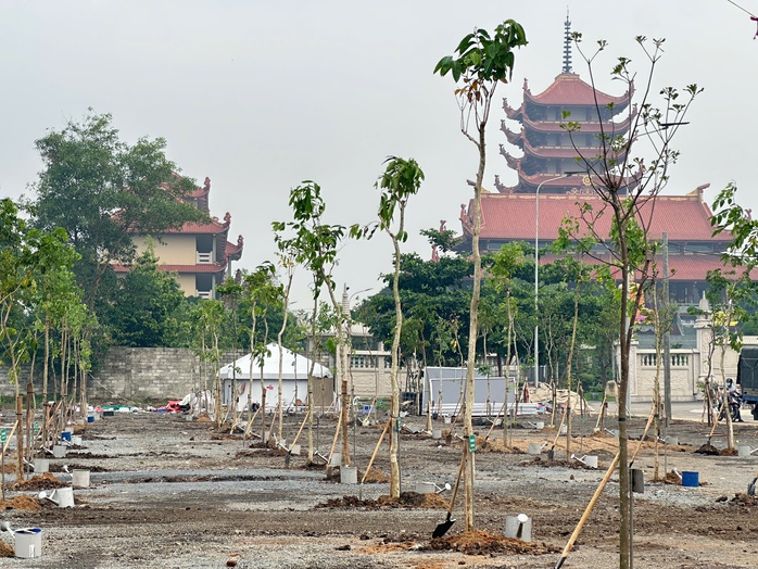 2,1 triệu cây xanh năm 2024: TP HCM chưa muốn dừng lại - Ảnh 2.