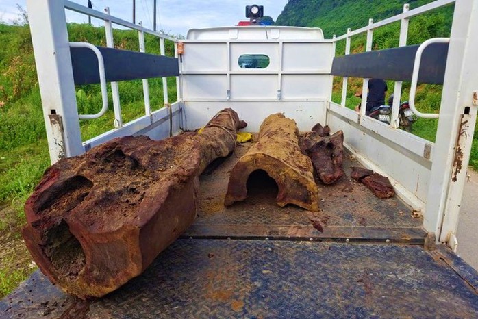 Phong Nha "dậy sóng" đêm khuya: Gốc sưa đỏ tiền tỉ lại bất ngờ lộ diện dưới suối?- Ảnh 1. Phong Nha "dậy sóng" đêm khuya: Gốc sưa đỏ tiền tỉ lại bất ngờ lộ diện dưới suối?- Ảnh 1.