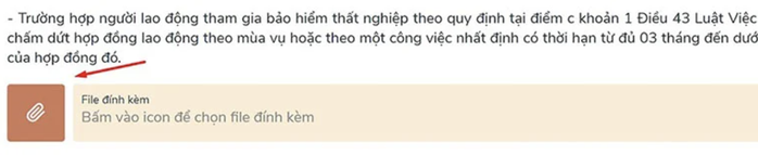 Nhận trợ cấp thất nghiệp online: Thủ tục cực nhanh- Ảnh 9. Nhận trợ cấp thất nghiệp online: Thủ tục cực nhanh- Ảnh 9.