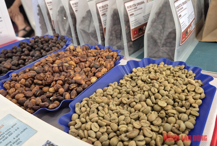Giá cà phê hôm nay 20-5: lấy lại đà tăng, kỳ hạn Robusta tăng ba con số- Ảnh 2. Giá cà phê hôm nay 20-5: lấy lại đà tăng, kỳ hạn Robusta tăng ba con số- Ảnh 2.