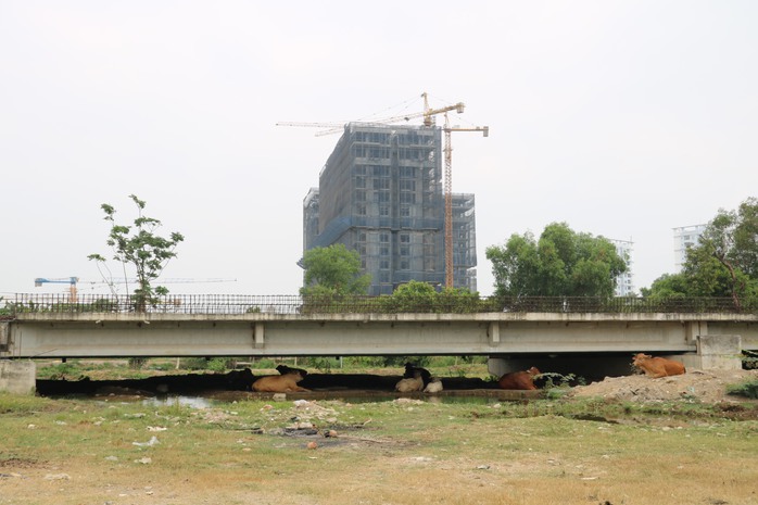 Đoạn vành đai 2 “ngủ quên” giữa lòng TP Thủ Đức - Ảnh 1.