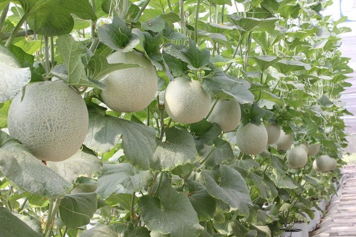 Ngành không lo thất nghiệp, thu nhập có thể đạt mức 30 triệu đồng/tháng - Ảnh 2.