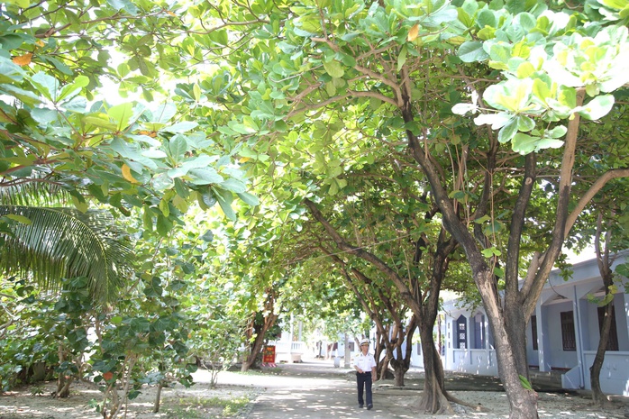 Xanh ngát Trường Sa- Ảnh 1. Xanh ngát Trường Sa- Ảnh 1.