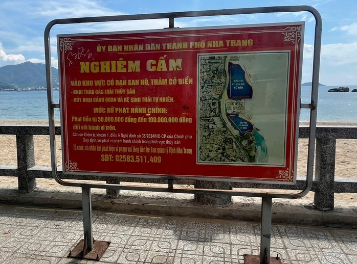 BQL Vịnh Nha Trang nói gì về clip lặn ngắm cá ở Hòn Chồng gây tranh cãi?- Ảnh 2. BQL Vịnh Nha Trang nói gì về clip lặn ngắm cá ở Hòn Chồng gây tranh cãi?- Ảnh 2.