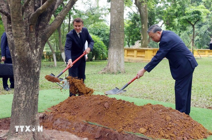 Tổng Bí thư Tô Lâm và Tổng thống Pháp trồng cây hữu nghị trong Khu di tích Chủ tịch Hồ Chí Minh- Ảnh 9. Tổng Bí thư Tô Lâm và Tổng thống Pháp trồng cây hữu nghị trong Khu di tích Chủ tịch Hồ Chí Minh- Ảnh 9.