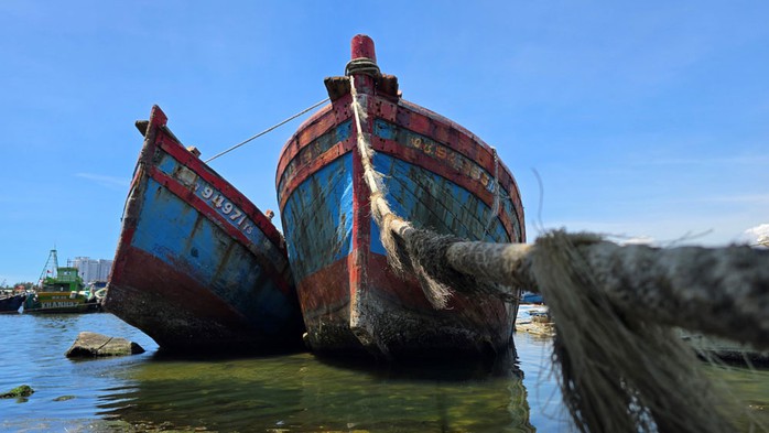 Khó xử lý hàng loạt tàu cá nằm bờ- Ảnh 1. Khó xử lý hàng loạt tàu cá nằm bờ- Ảnh 1.