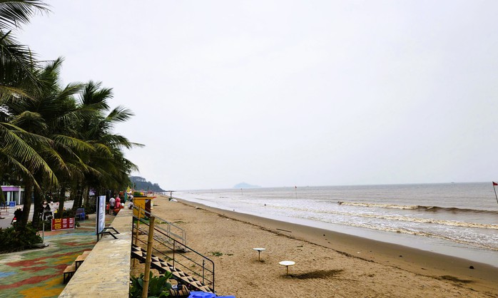 Chuyện khó tin ở bãi biển nổi tiếng Thanh Hóa vẫn tái diễn- Ảnh 2. Chuyện khó tin ở bãi biển nổi tiếng Thanh Hóa vẫn tái diễn- Ảnh 2.