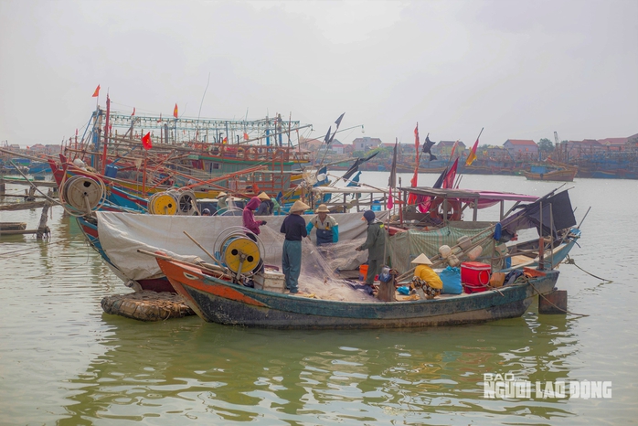 Lý do khiến 11 tàu cá bị phạt gần 1,4 tỉ ở Quảng Bình - Ảnh 1.