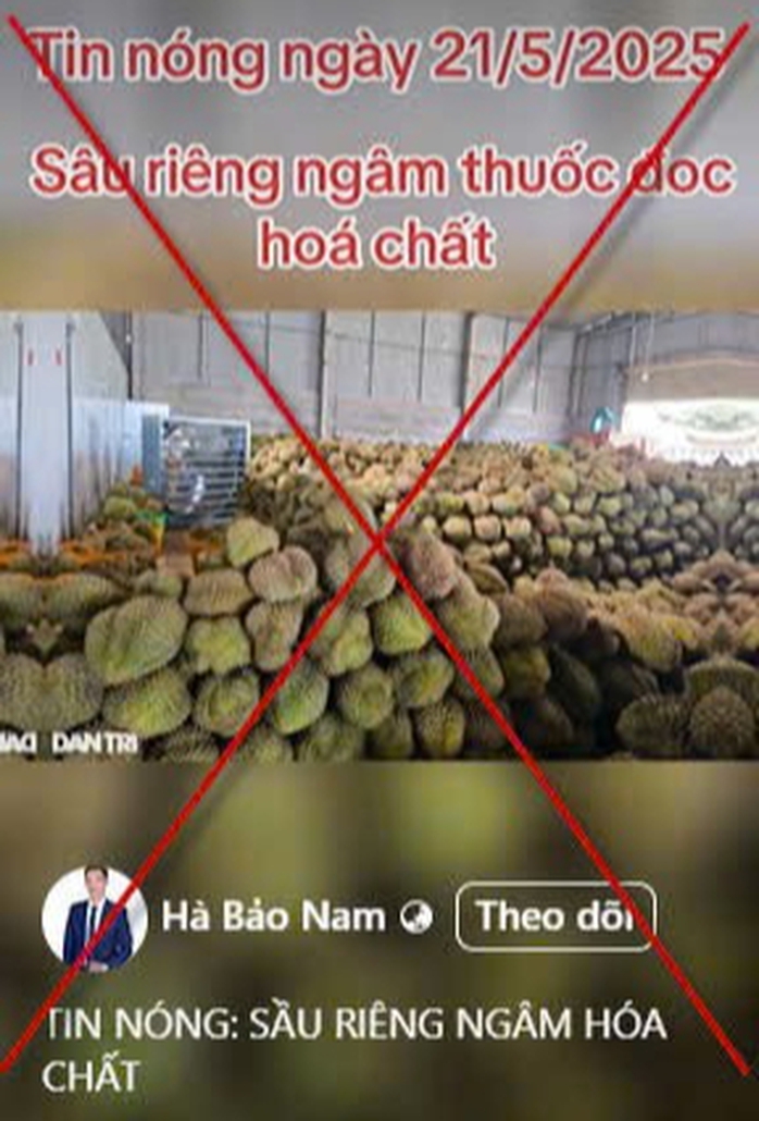 Đắk Nông đề nghị xử lý thông tin sai sự thật về sầu riêng nhúng hóa chất - Ảnh 1.