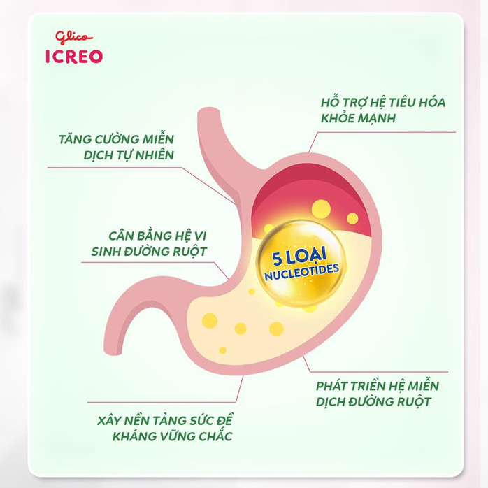 Tăng đề kháng cho bé thế nào hiệu quả, an toàn khi con còn nhỏ?- Ảnh 1. Tăng đề kháng cho bé thế nào hiệu quả, an toàn khi con còn nhỏ?- Ảnh 1.