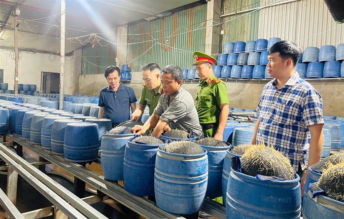 Khởi tố 3 người trong vụ sản xuất 350 tấn giá đỗ bằng hóa chất độc hại- Ảnh 2. Khởi tố 3 người trong vụ sản xuất 350 tấn giá đỗ bằng hóa chất độc hại- Ảnh 2.