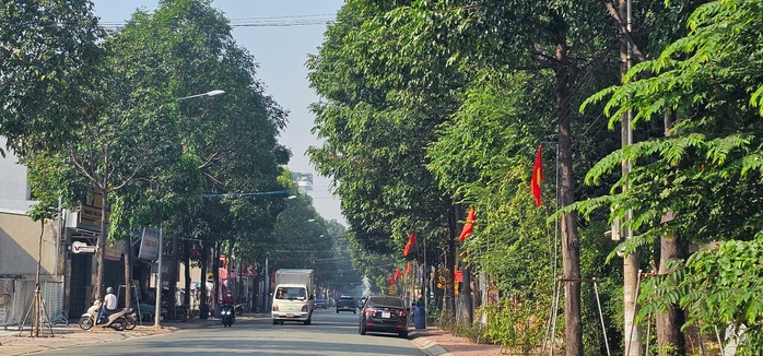 Phủ xanh đô thị - Ảnh 2. Phủ xanh đô thị - Ảnh 2.