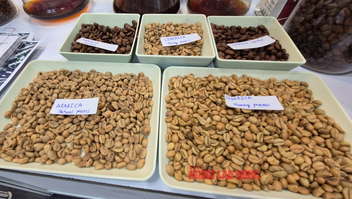 Giá cà phê hôm nay 5-5: Giải mã cơn sốt cà phê mít - Ảnh 1.