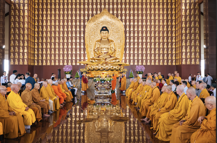 Cây bồ đề chiết từ Bồ đề thiêng sẽ được trồng tại Học viện Phật giáo Việt Nam, TP HCM. - Ảnh 2.