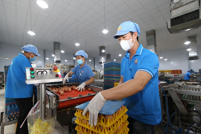 Kinh tế tư nhân đã có đòn bẩy- Ảnh 1. Kinh tế tư nhân đã có đòn bẩy- Ảnh 1.