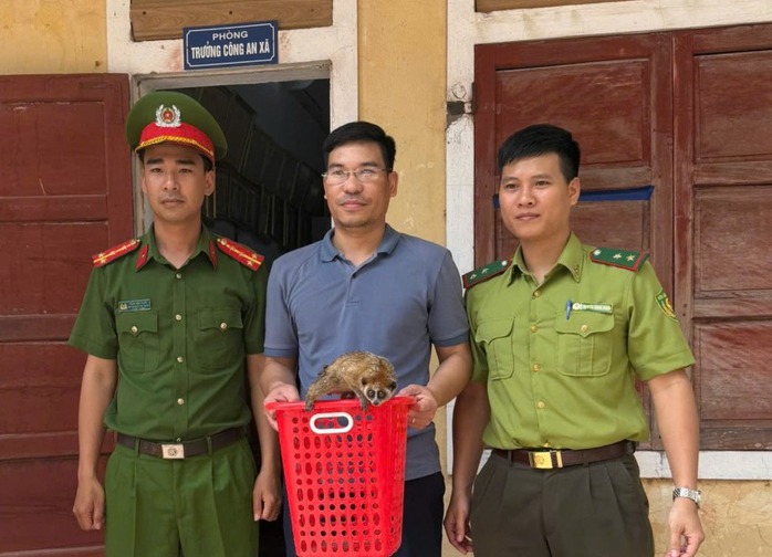 Thấy "sinh vật lạ" trong vườn nhà ở Quảng Bình, không ngờ lại là loài quý hiếm - Ảnh 1.