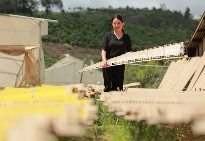 Bánh tráng Làng Tày, sầu riêng, dứa mật Đam Rông thành đặc sản của Lâm Đồng- Ảnh 1.