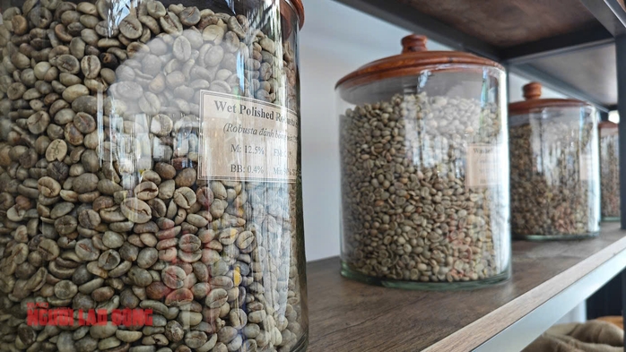 Giá cà phê hôm nay 13-6: Diễn biến trái chiều, Arabica tiếp tục giảm sâu- Ảnh 1. Giá cà phê hôm nay 13-6: Diễn biến trái chiều, Arabica tiếp tục giảm sâu- Ảnh 1.