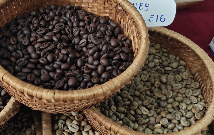 Giá cà phê hôm nay 12-6: Giảm tiếp, về sát mốc 110.000 đồng/kg- Ảnh 1. Giá cà phê hôm nay 12-6: Giảm tiếp, về sát mốc 110.000 đồng/kg- Ảnh 1.