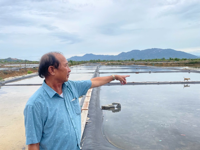 Thu hồi đất giá thấp để doanh nghiệp làm khu công nghiệp, diêm dân khiếu nại- Ảnh 2.