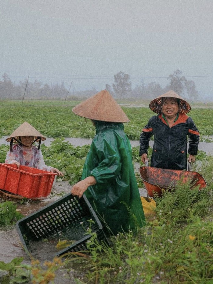 Bão số 1 gây mưa kỷ lục ở Quảng Nam, 16.700 ha lúa, hoa màu ngập nặng - Ảnh 3.