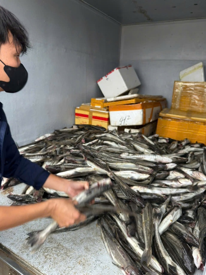 Cá nuôi lồng bè trên sông chết hàng loạt, người dân khóc ròng - Ảnh 2.