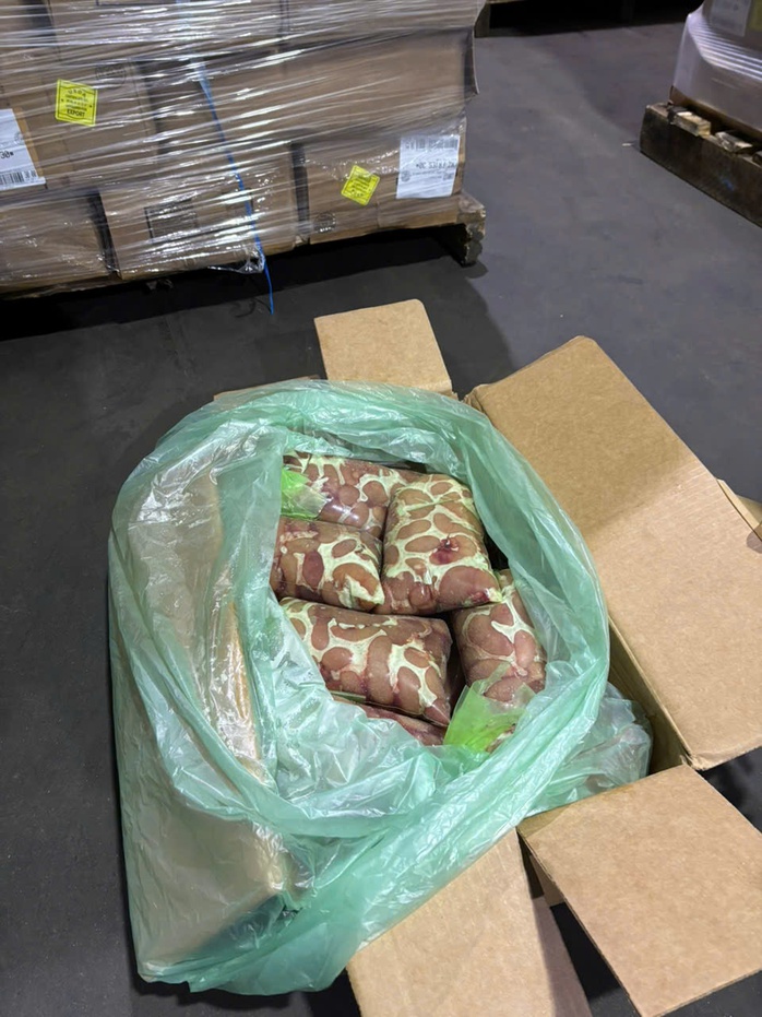 Bên trong kho lạnh ở TP HCM chứa hơn 70 tấn nội tạng, thịt không rõ nguồn gốc- Ảnh 9. Bên trong kho lạnh ở TP HCM chứa hơn 70 tấn nội tạng, thịt không rõ nguồn gốc- Ảnh 9.