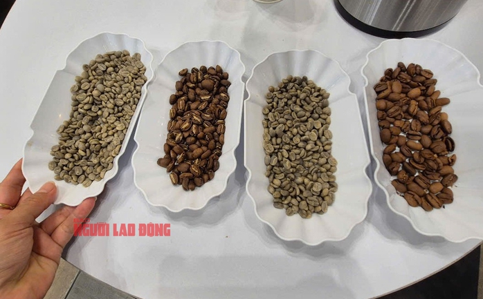 Giá cà phê hôm nay 16-6: Bao giờ xả kho?- Ảnh 1. Giá cà phê hôm nay 16-6: Bao giờ xả kho?- Ảnh 1.