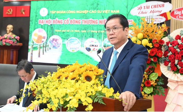 VRG sẽ đầu tư thêm 70.000 cao su tại Lào, Campuchia - Ảnh 2.