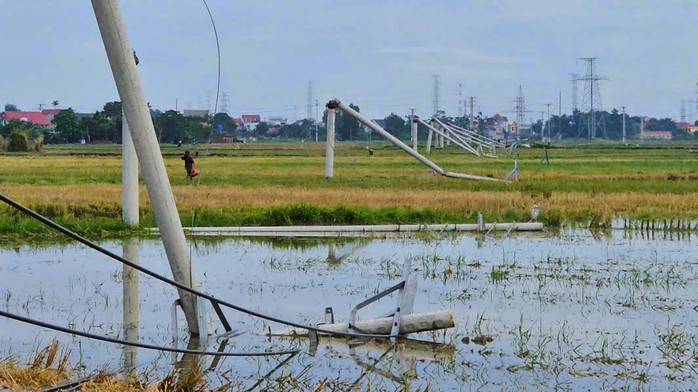 Cột điện đường dây 22 kV gãy đổ như "ngả rạ" sau mưa dông ở Thanh Hóa- Ảnh 1. Cột điện đường dây 22 kV gãy đổ như "ngả rạ" sau mưa dông ở Thanh Hóa- Ảnh 1.