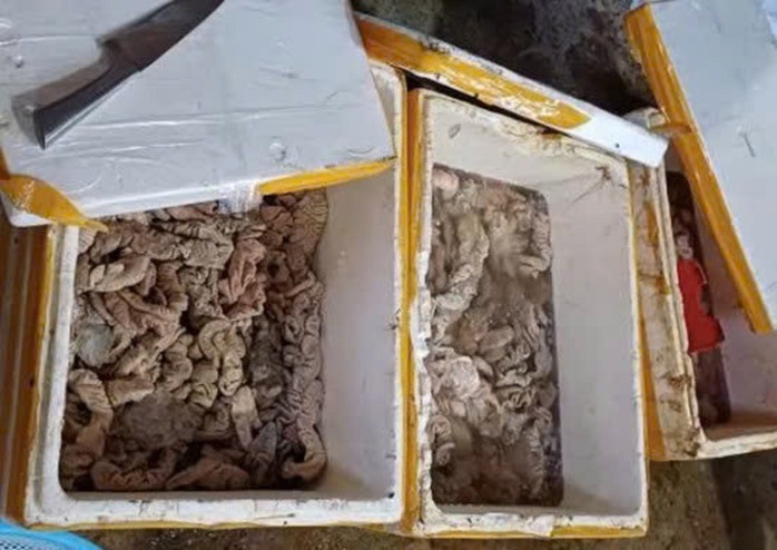 Phát hiện kho hàng tại Đà Nẵng chứa 3,5 tấn thịt, nội tạng bốc mùi đổi màu - Ảnh 1.