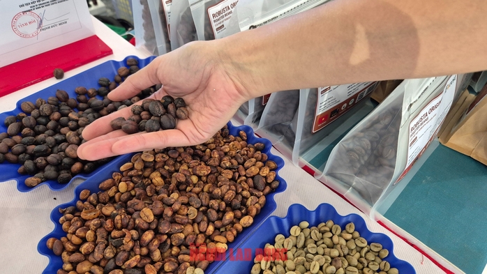Giá cà phê hôm nay 18-6: Tiếp tục giảm sâu, sắp mất mốc 110.000 đồng/kg- Ảnh 1. Giá cà phê hôm nay 18-6: Tiếp tục giảm sâu, sắp mất mốc 110.000 đồng/kg- Ảnh 1.